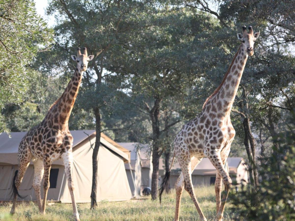 Unyati Safari Lodge Hectorspruit Екстериор снимка