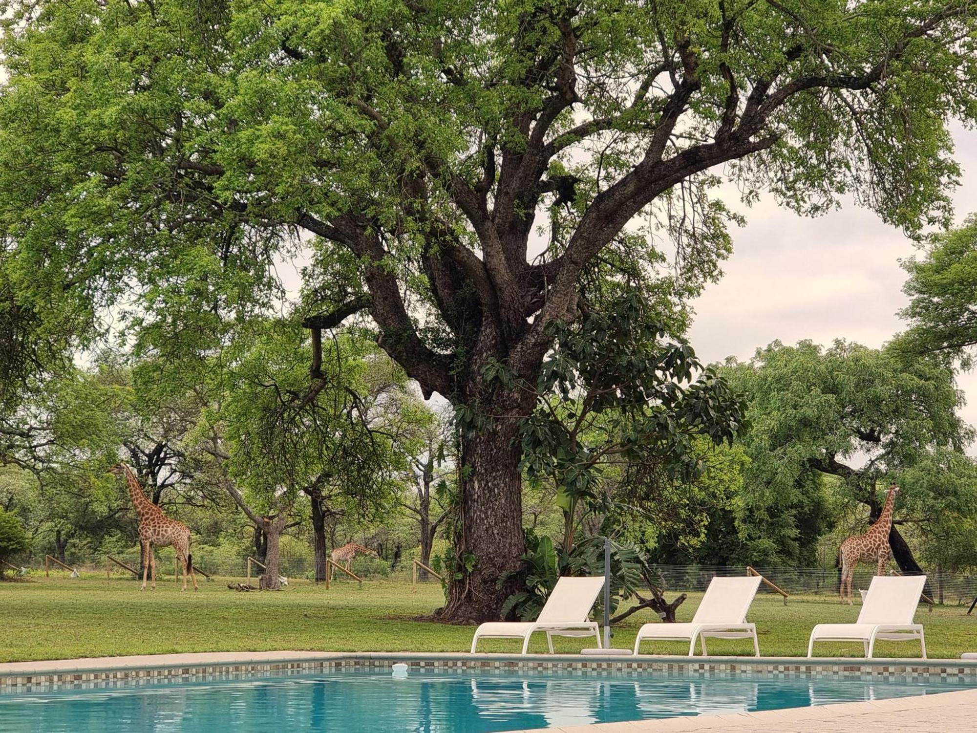 Unyati Safari Lodge Hectorspruit Екстериор снимка