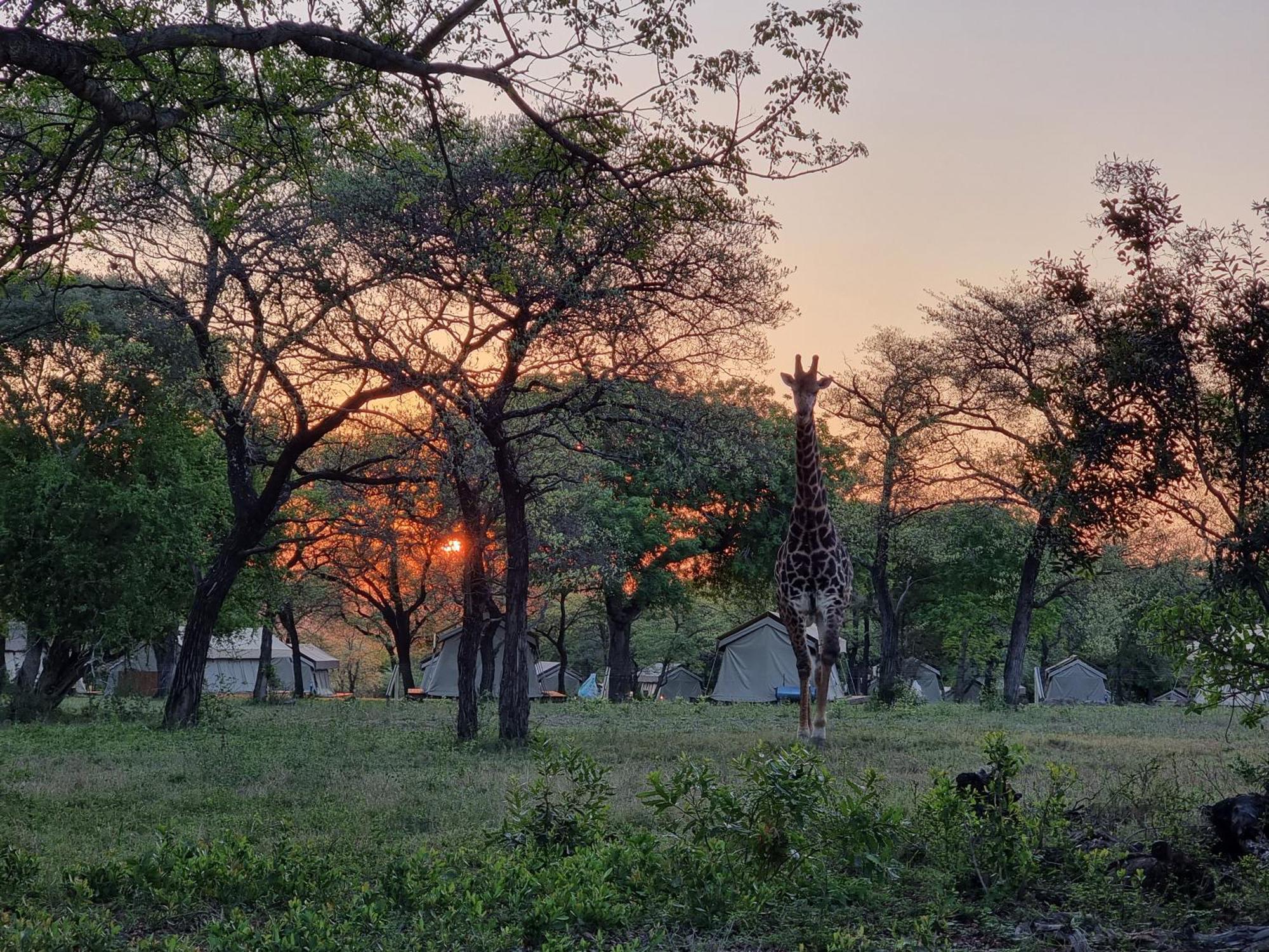 Unyati Safari Lodge Hectorspruit Екстериор снимка