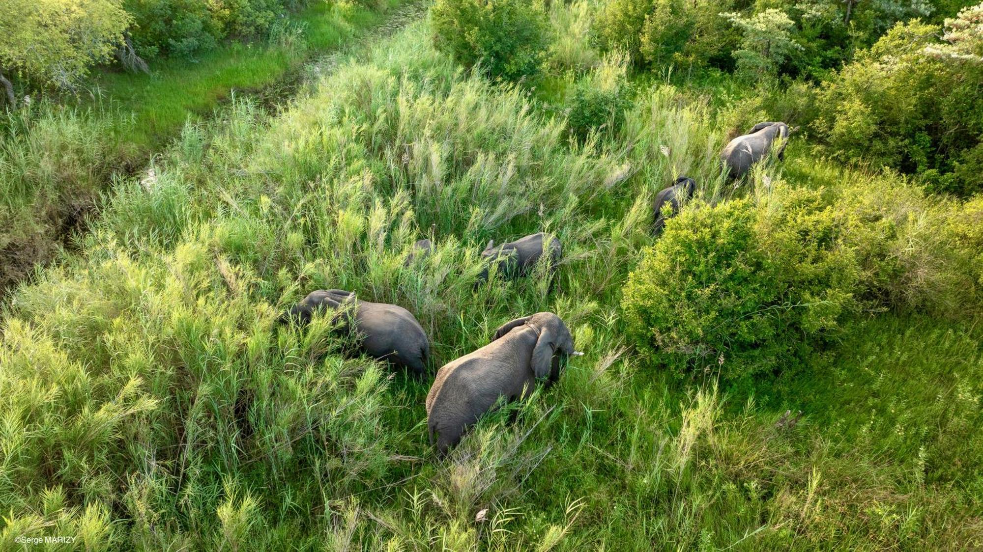 Unyati Safari Lodge Hectorspruit Екстериор снимка